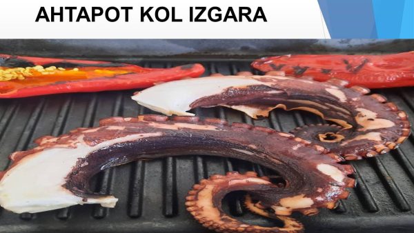 KOL AHTAPOT IZGARA