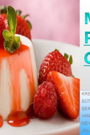 MEYVELİ PANNA COTTA
